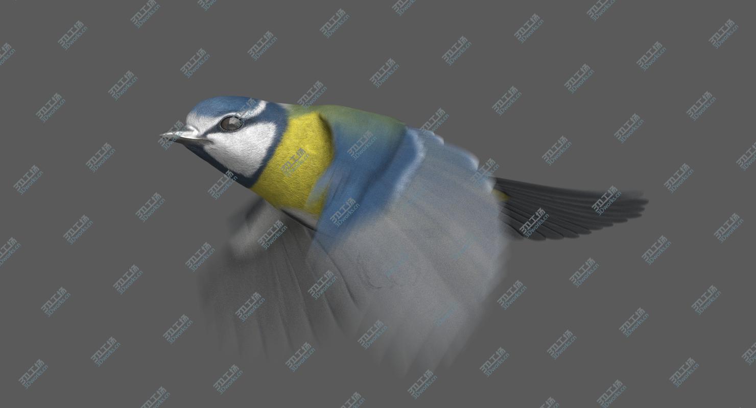 images/goods_img/20210319/Eurasian Blue Tit (Animated) 3D model/2.jpg